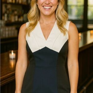 New! Banana Republic Sloan Colorblock Sheath Dress Sz 2 ($140) Semi-formal